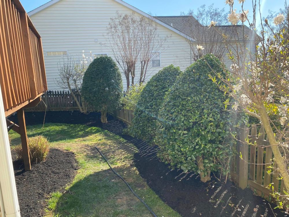 All Photos for Superior Lawn Solution in Coats, NC