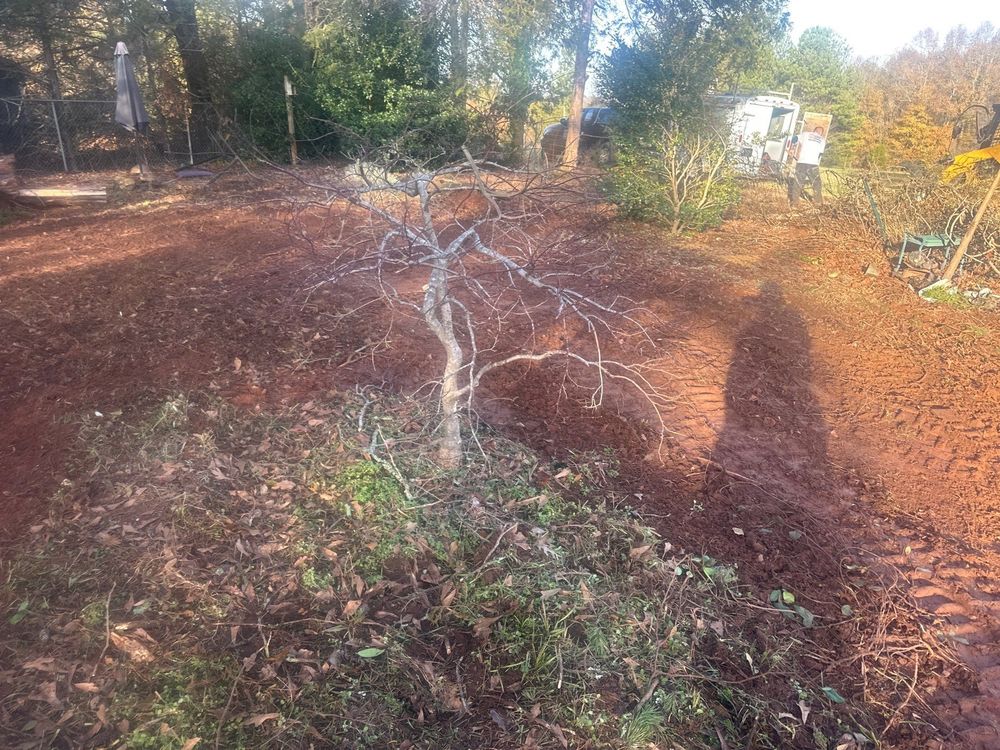 Tree Removal for Rescue Grading & Landscaping in Marietta, SC