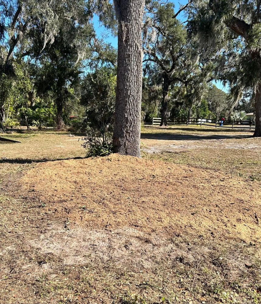 Stump Grinding for Greene Acres Stump Grinding in Plant City, FL
