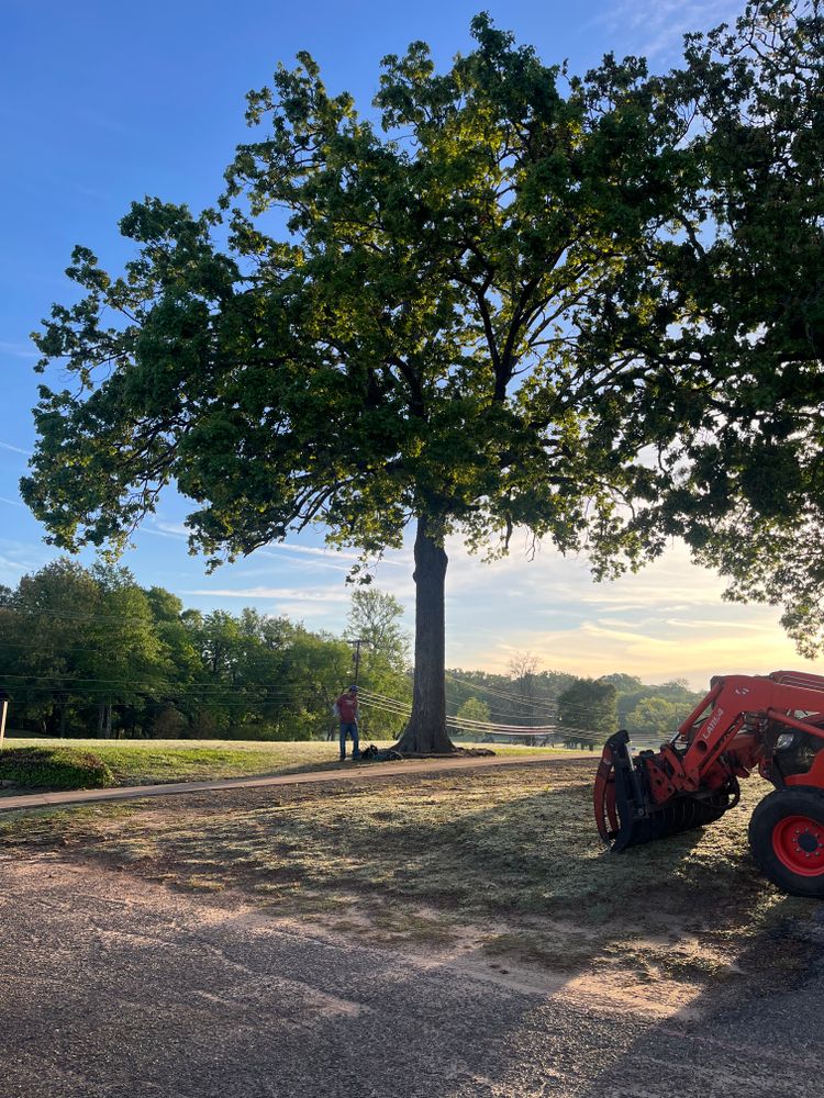 All Photos for JC Land and Tree Service in Kilgore, TX
