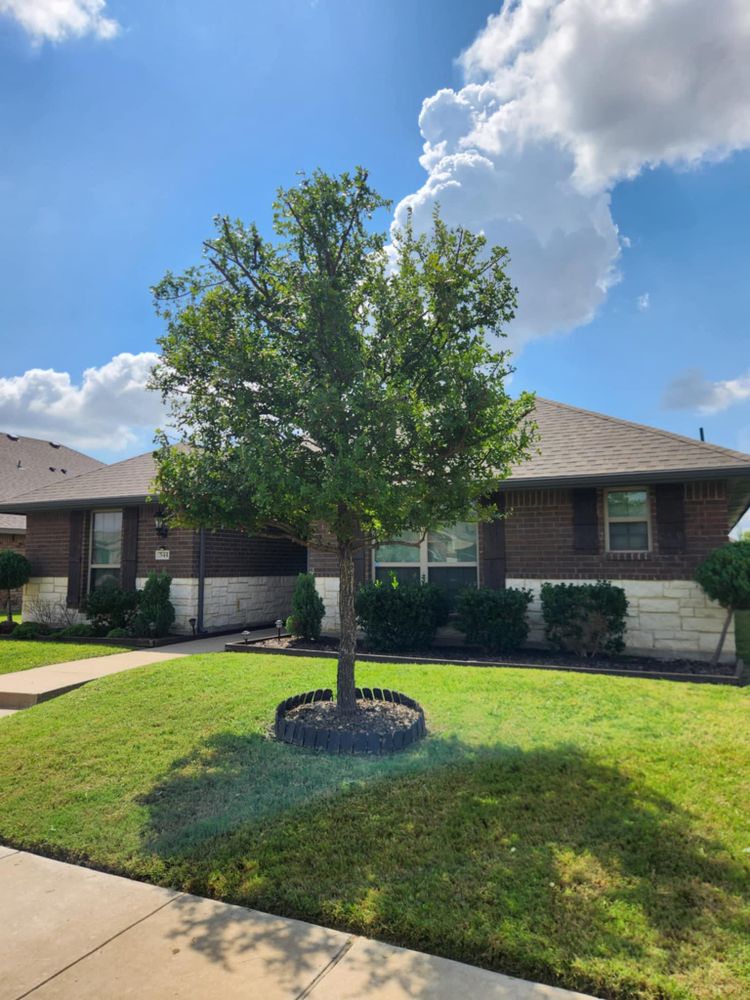 All Photos for Paquito's Landscaping in Ellis County, TX