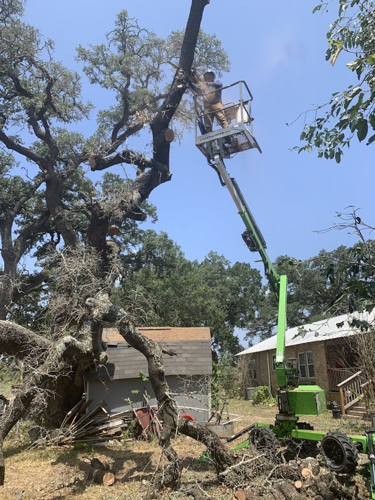 Landscaping Lawn Care for Blade Runner Landscapes in Austin, TX