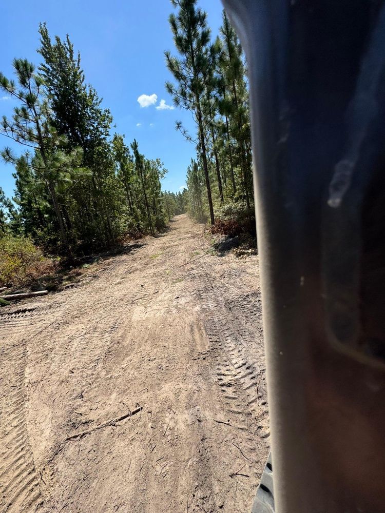 All Photos for Trophy Outdoor Solutions in Lexington, SC