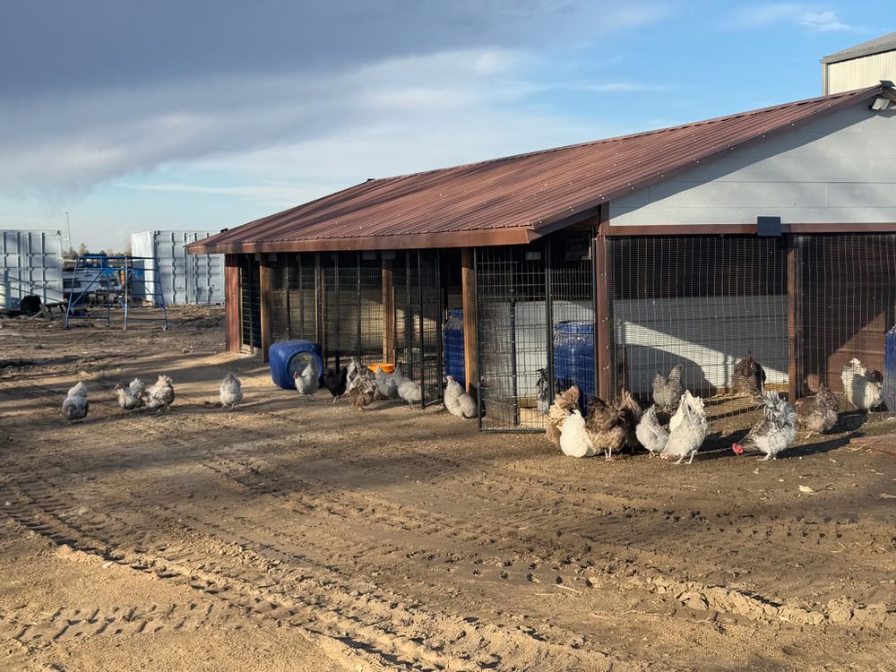 All Photos for HDE Services LLC in Grand Island, NE