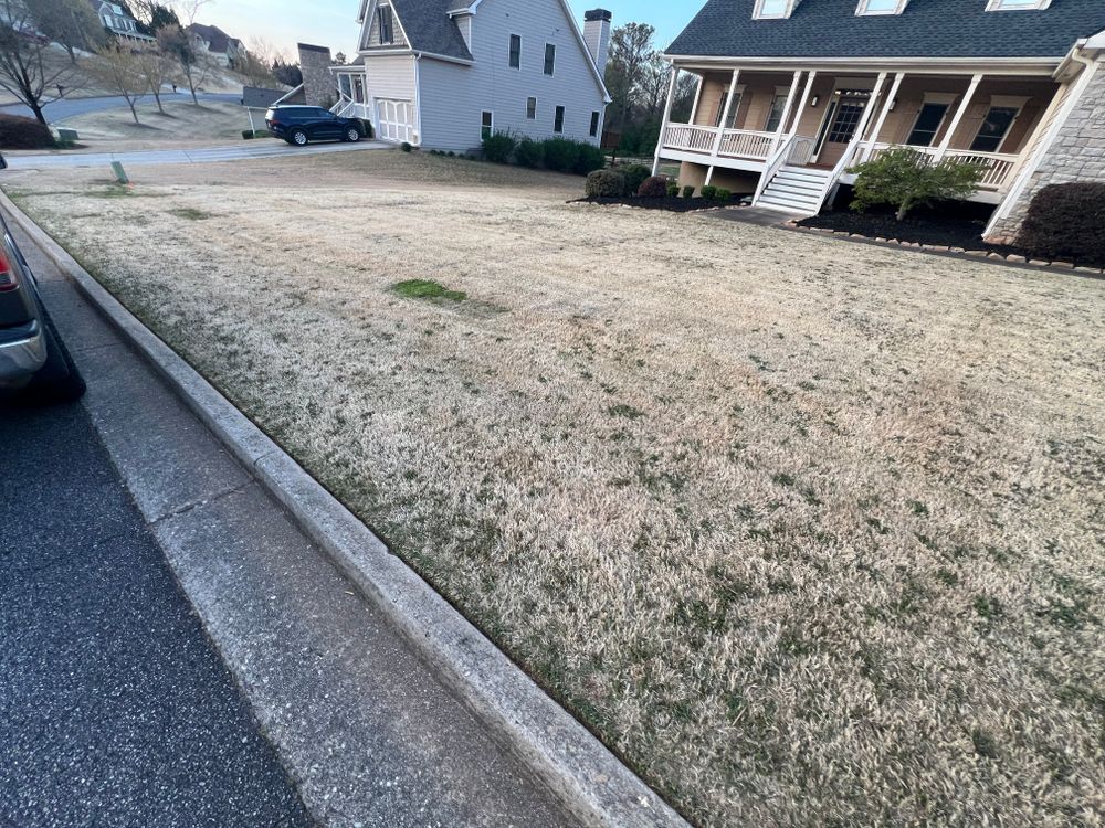 All Photos for Amerigreen Lawn & Landscape in Duluth, GA