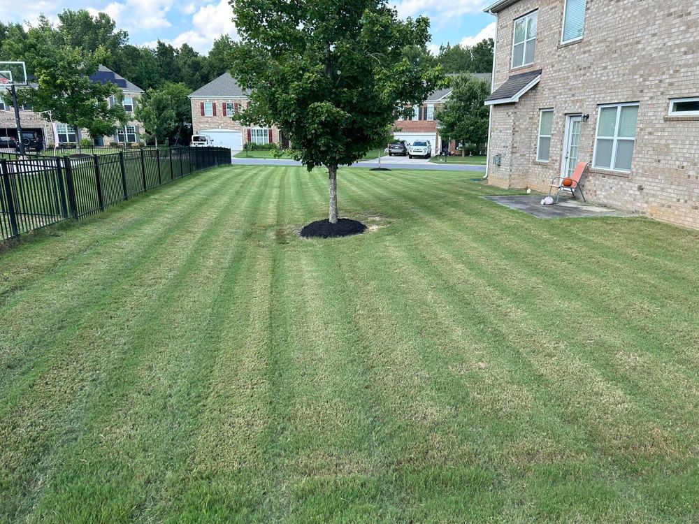 Lawn Care for Durham Right Lawn Services in Rock Hill, SC