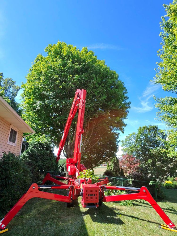 All Photos for F & F Tree Service in Beavercreek, OH
