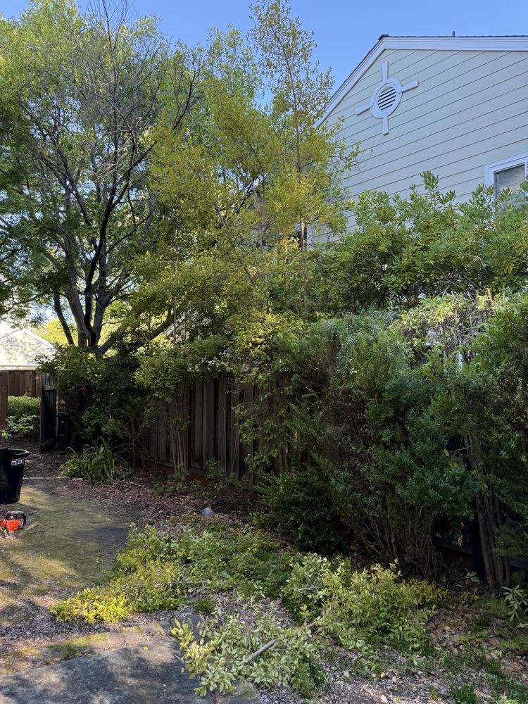 All Photos for CBA Landscaping in Hayward, CA