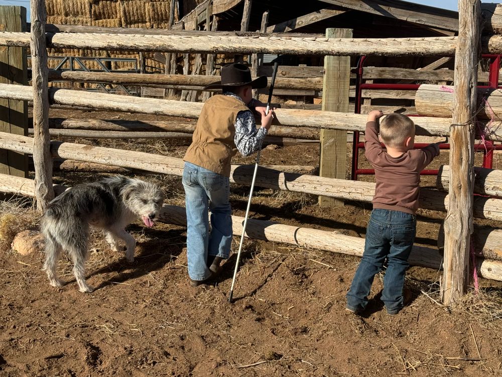 All Photos for Burton Fencing in Parowan, UT