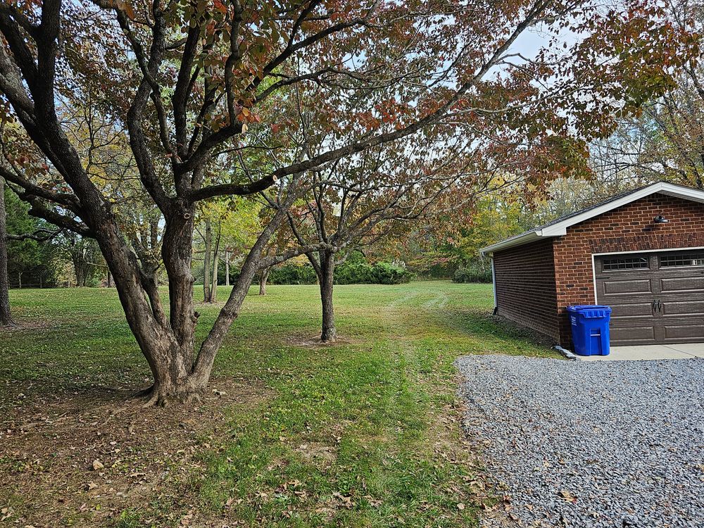 Tree Trims for Affordable Tree Service TN in White House, TN