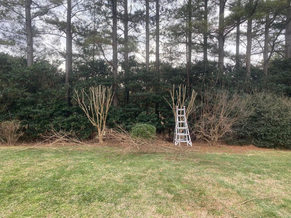 Mulching for America's Top Pick Lawn & Landscaping in Gastonia, NC