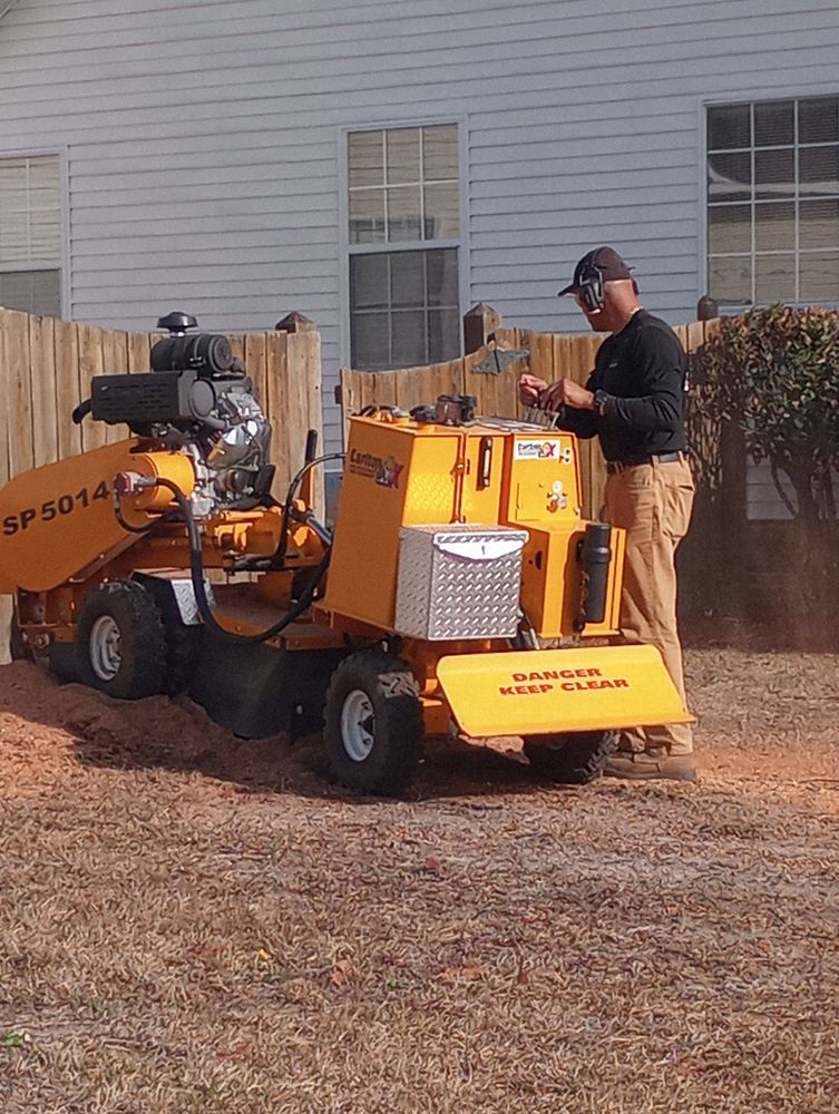 Tree Removal for Tucker's Tree Service and Stump Grinding in Lugoff, SC