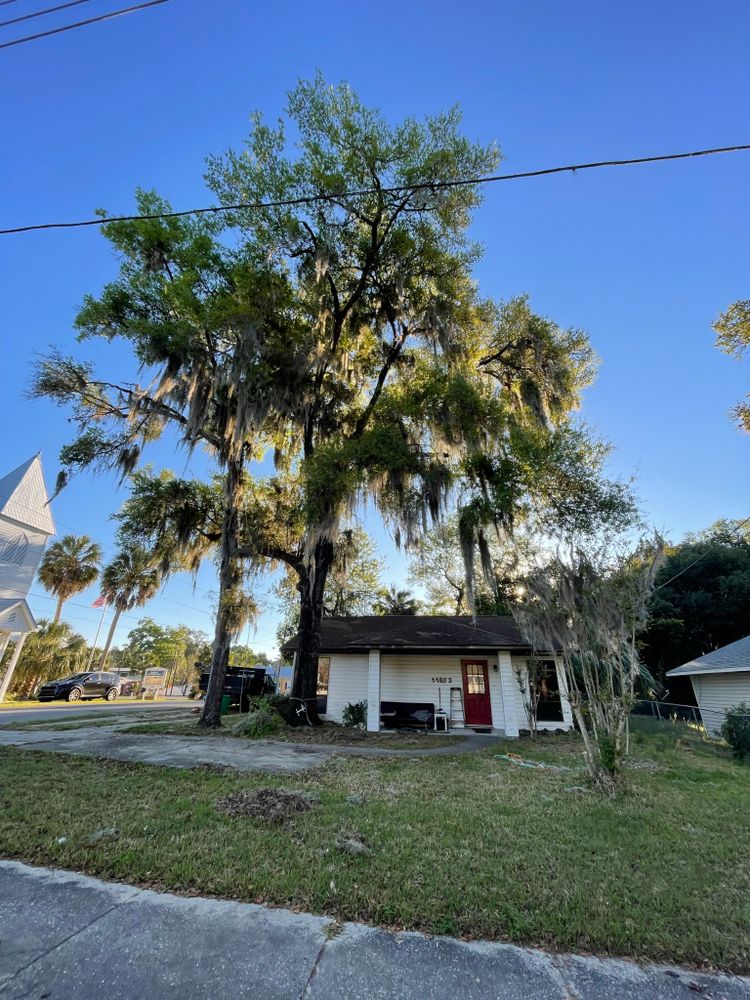 All Photos for Mr. Timber in Ocala, FL