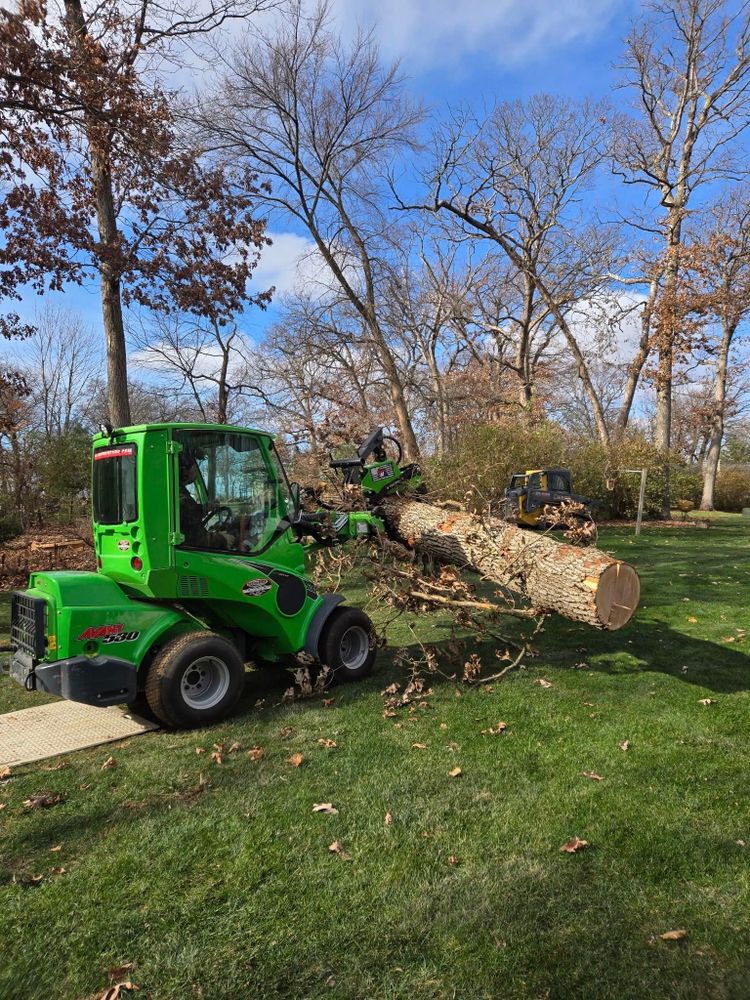 All Photos for Olson Tree Service, Inc in Winnebago County, IL