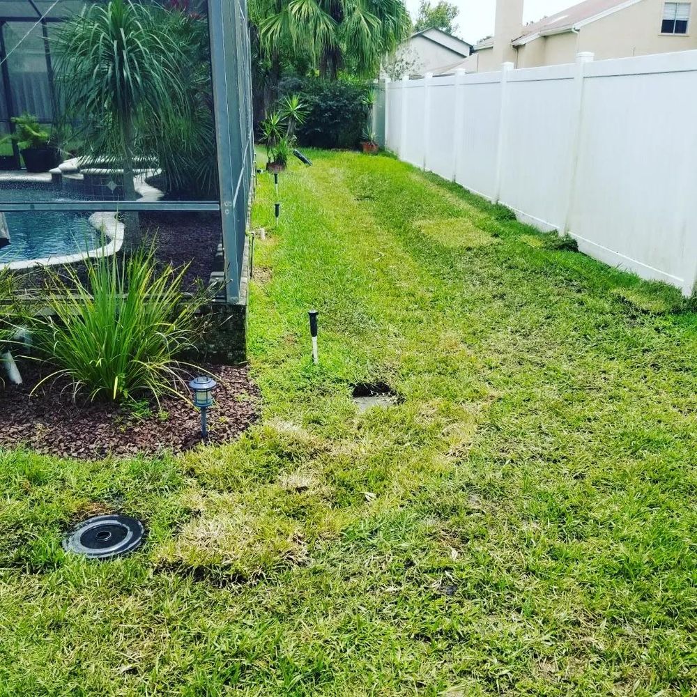 All Photos for Sam's French Drains and Landscape in Orlando, Florida