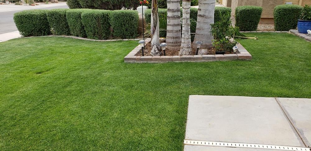Our Lawn Care service offers expert mowing, fertilizing, and weed control to ensure your lawn stays lush and healthy year-round. Trust our professionals for a vibrant outdoor space you’ll love. for Sunrise Landscape in Maricopa, AZ