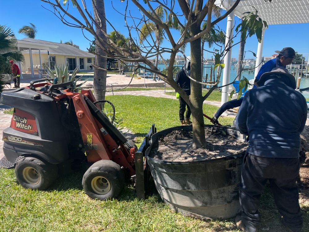 All Photos for Busy Beaver Stump Removal, Inc in Clearwater, FL