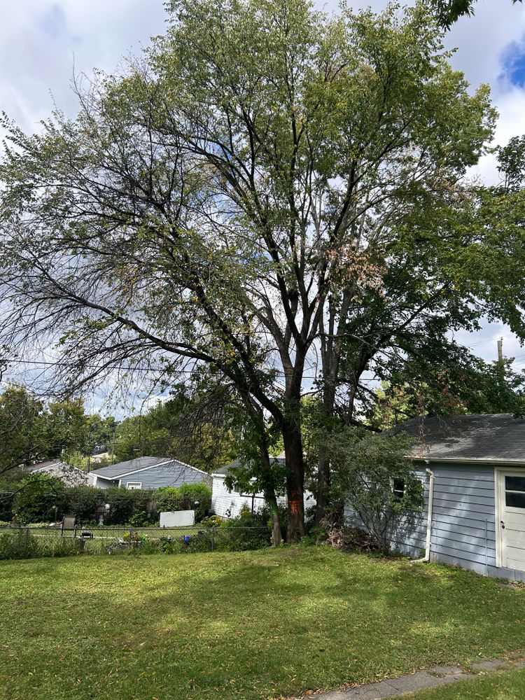 All Photos for Allstate Tree Service and Crane in Minneapolis, MN