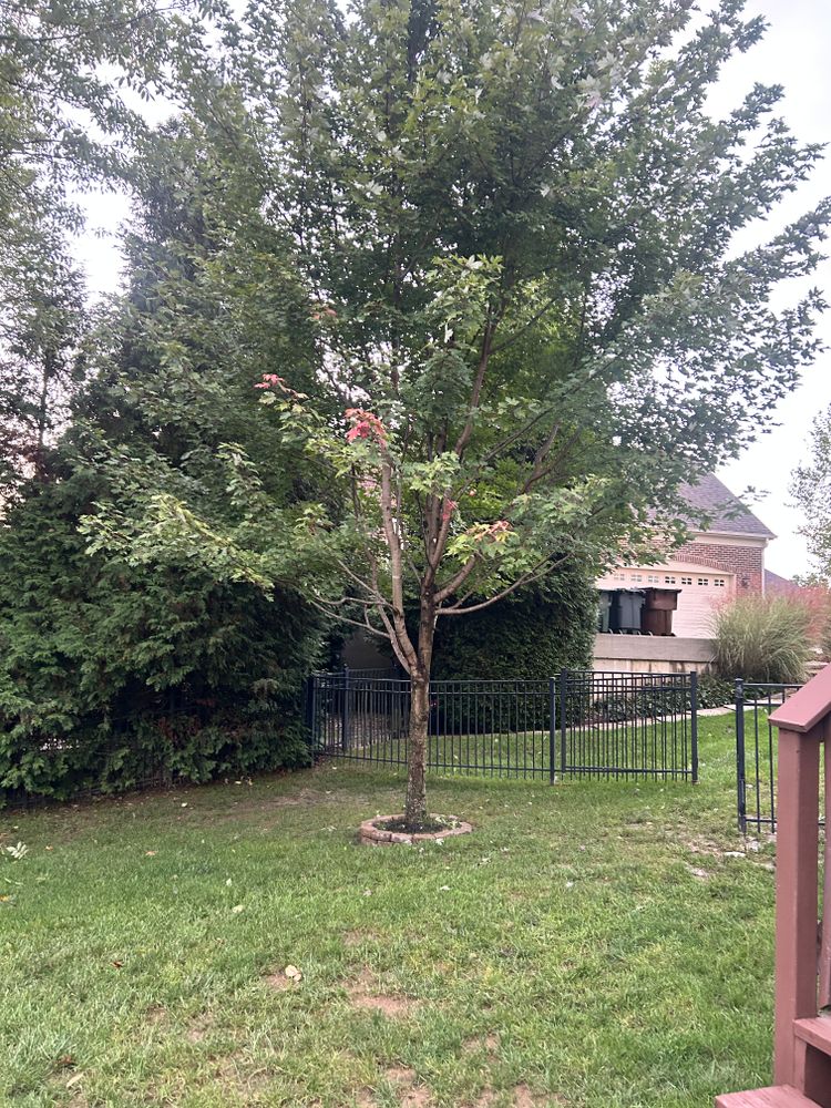 All Photos for Terra Steel Creations in Independence, KY