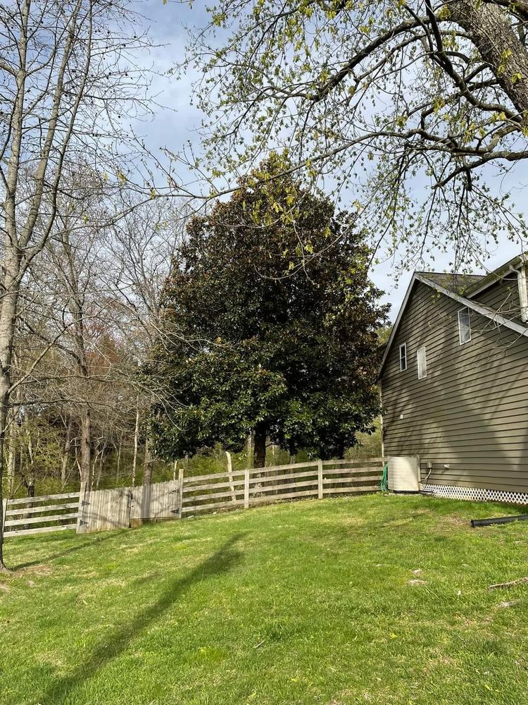 Tree Removal for Scott's Tree Service in Athens, TN