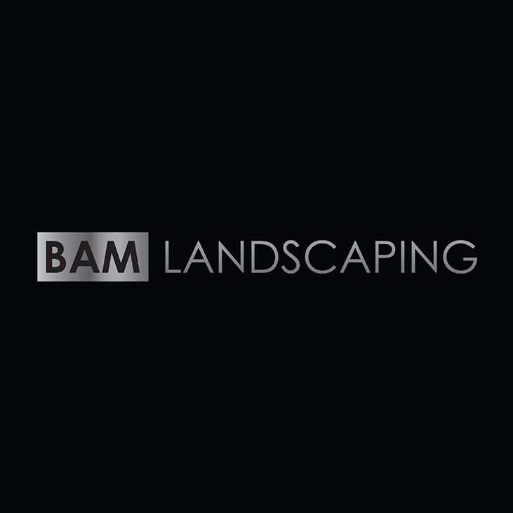 BAM Landscaping team in ,  - people or person