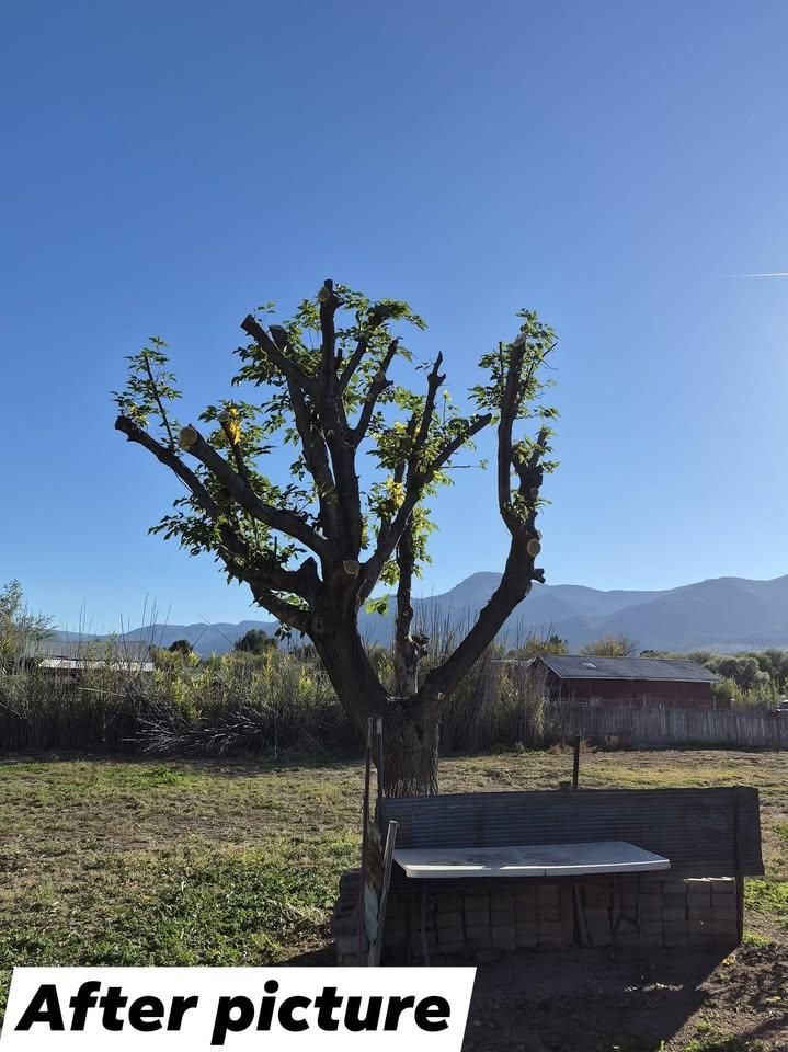 All Photos for D & D Handyman Services LLC in Cottonwood, AZ