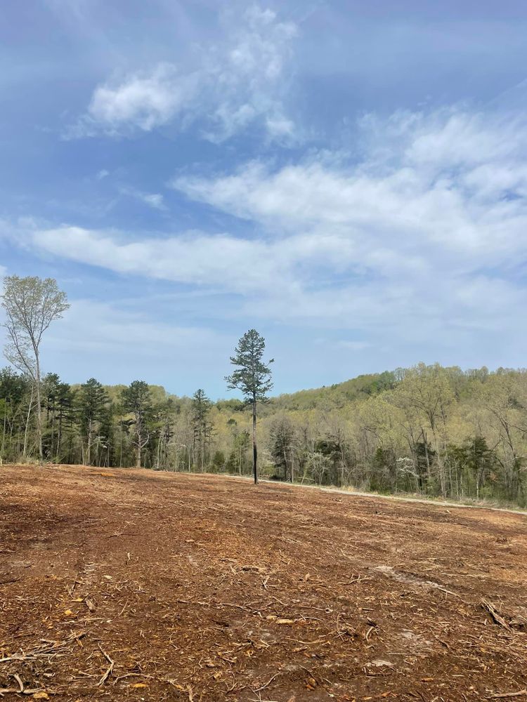 Pasture Reclamation for Bass Land Management in Yellville, AR