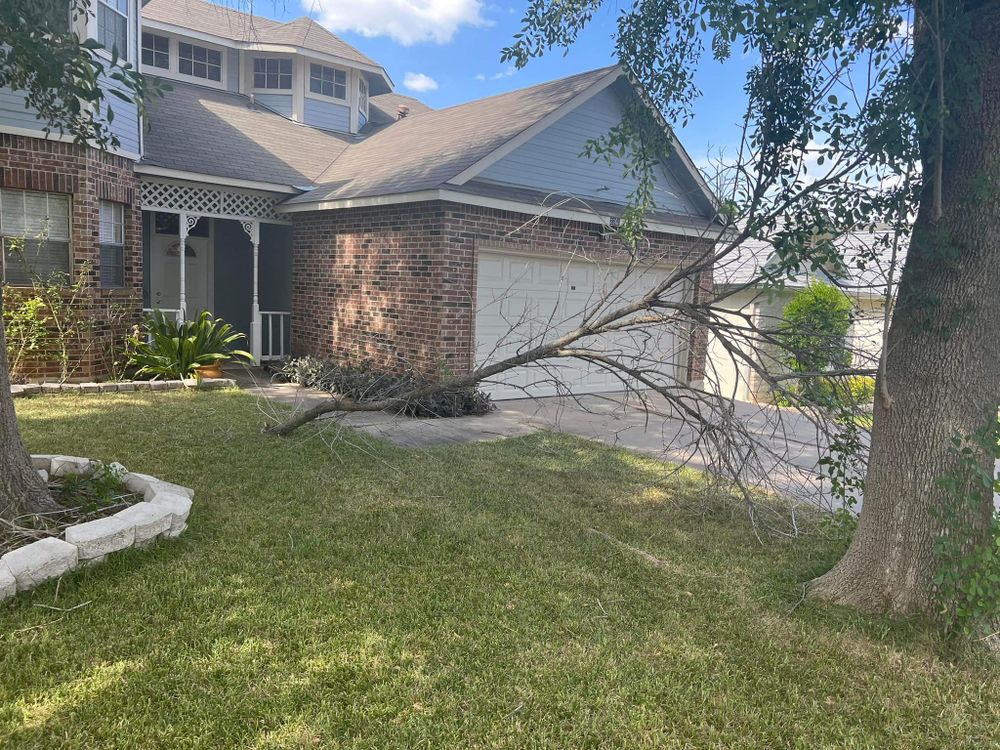 Tree Service for Green Turf Landscaping in Kyle, TX