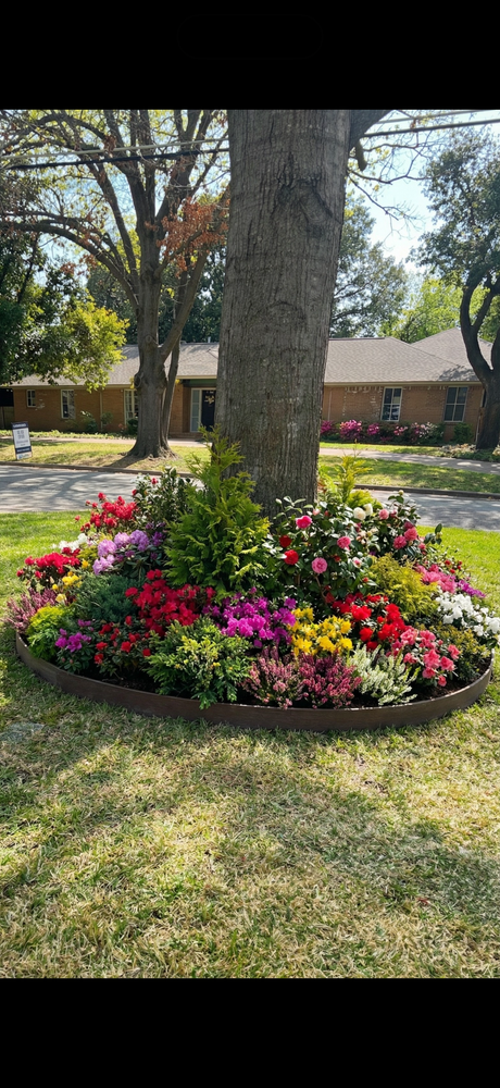 All Photos for Tree Valley Landscaping in Dallas, TX