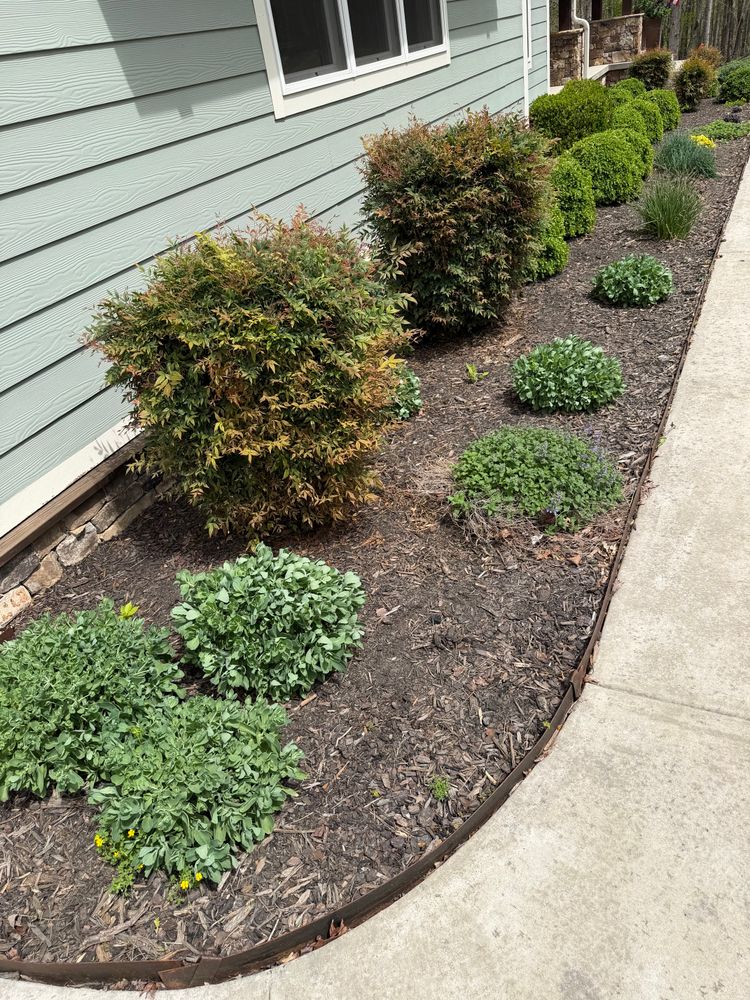 Landscaping for Starnes Hardscapes & Property Management LLC in Dunlap, TN