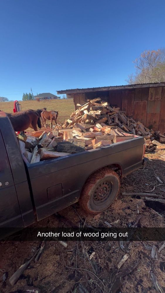 All Photos for Brooks Tree Service in Casar, NC