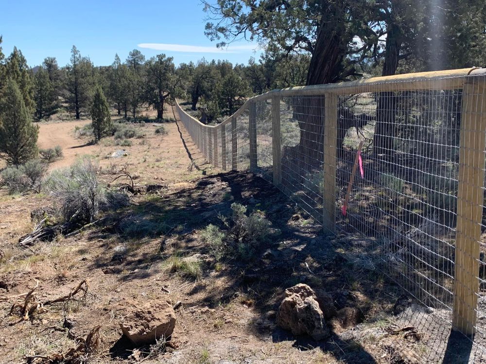 All Photos for All ‘Round Boys in Prineville, OR