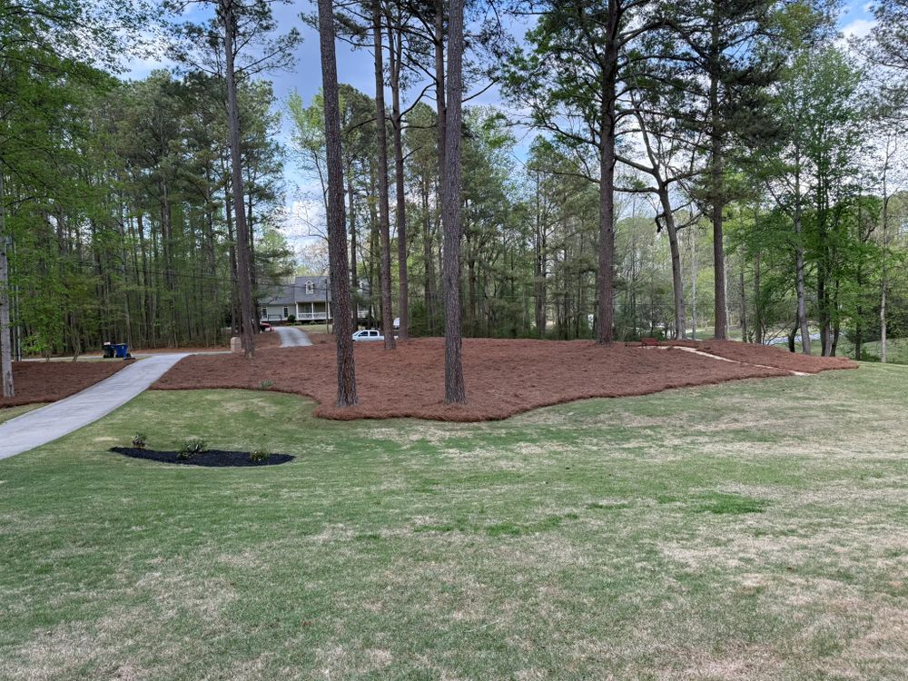 All Photos for Tri-P Services in Athens, GA