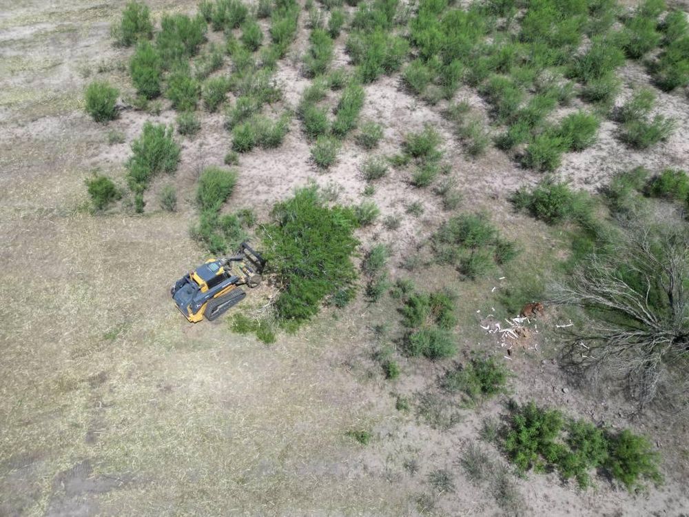 All Photos for Hernandez Land Clearing Services in Alice, TX