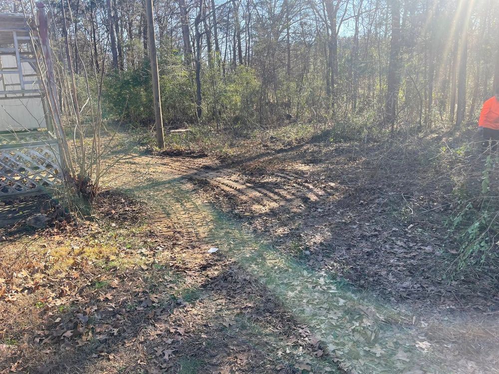 Tree Services for K-2 Tree Service in Shelby, NC