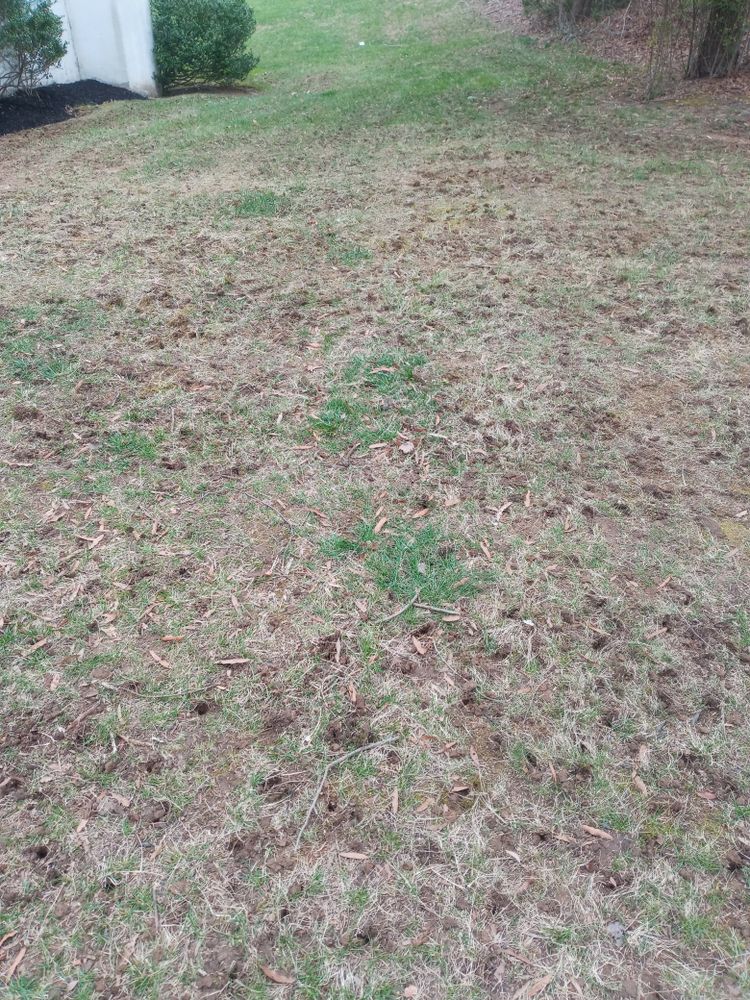 All Photos for Sam I AM Property Solutions in Sunderland, MD