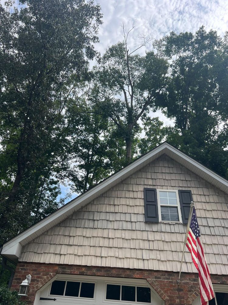 All Photos for Brooks Tree Service in Casar, NC