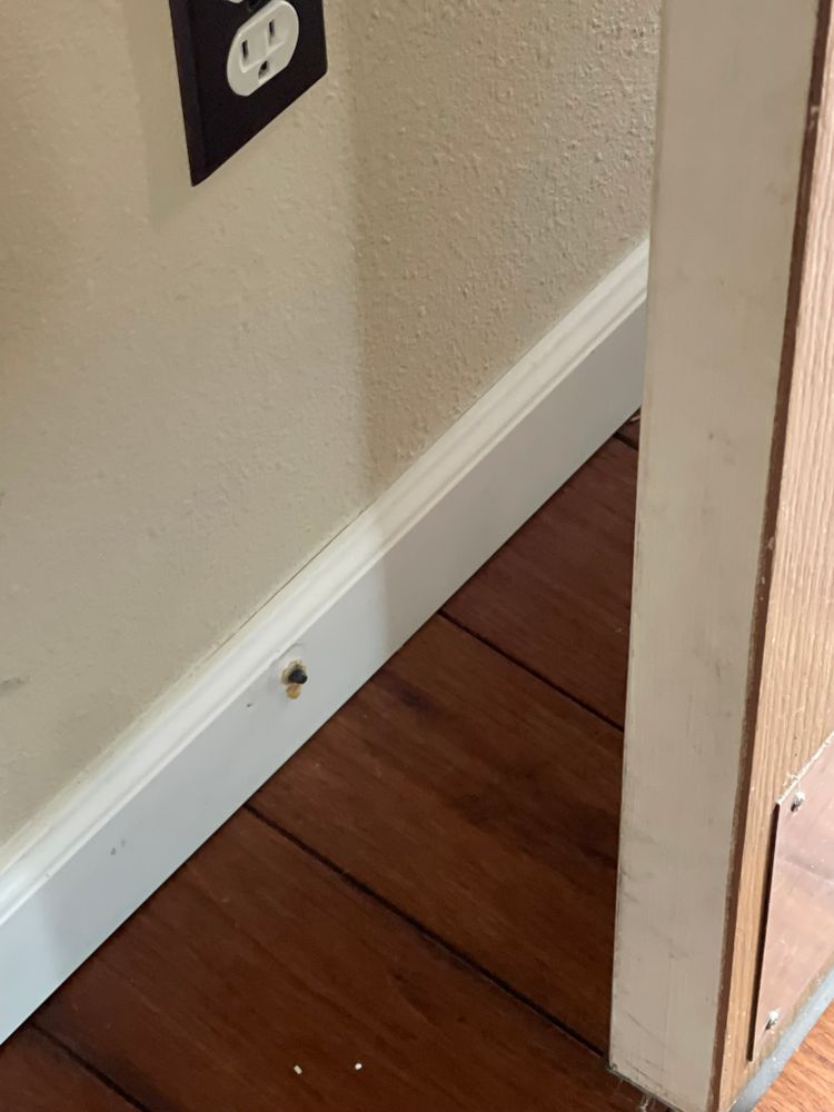 All Photos for Tony's Remodeling & Painting in Renton, WA