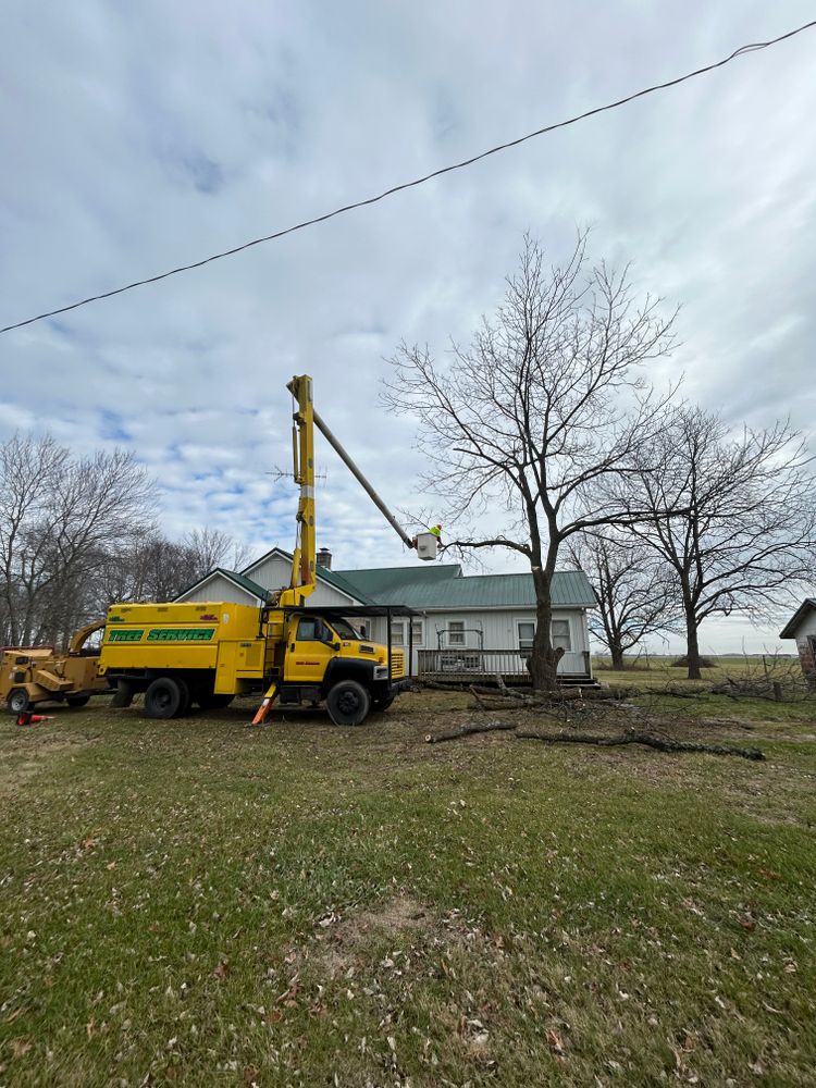 All Photos for SMITHs Tree Service in Columbus, IN