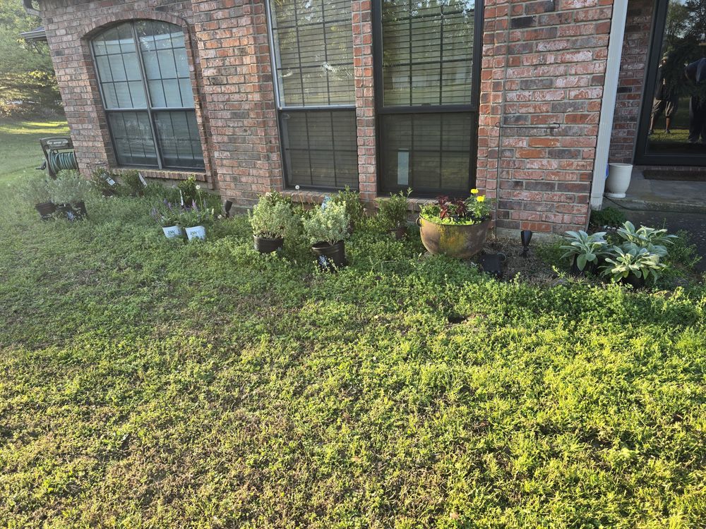 All Photos for Ornelas Lawn Service in Lone Oak, Texas
