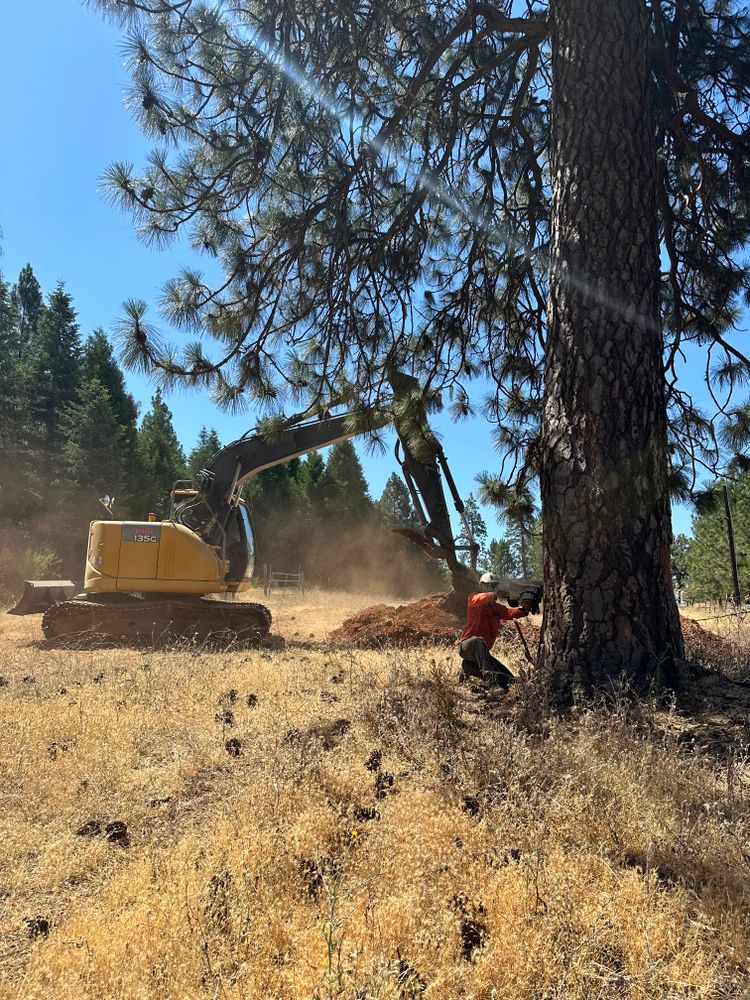 Our Defensible Space service expertly enhances your property’s safety by reducing wildfire risk through strategic vegetation management, creating a protective buffer around your home while enhancing its natural beauty and health. for Tyco Forest Management in Placerville, CA