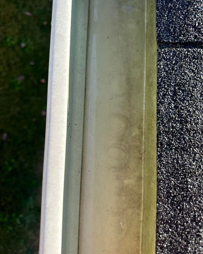 Our gutter cleaning service ensures your home's drainage system works efficiently, preventing water damage and protecting your property's foundation with thorough debris removal delivered by our expert team. for Detailed Power Washing in Fredericksburg, VA