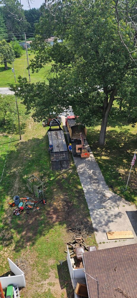 All Photos for Highborn Tree Service in Wheatfield, IN