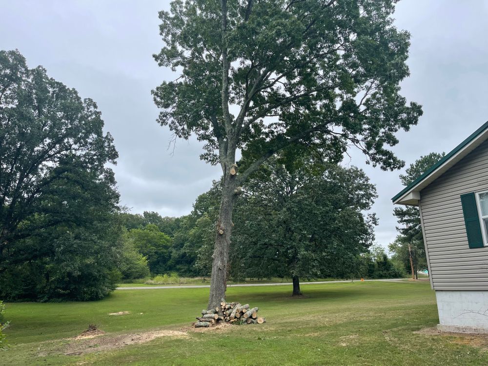 All Photos for Ross Family Tree Service LLC  in Hohenwald, TN