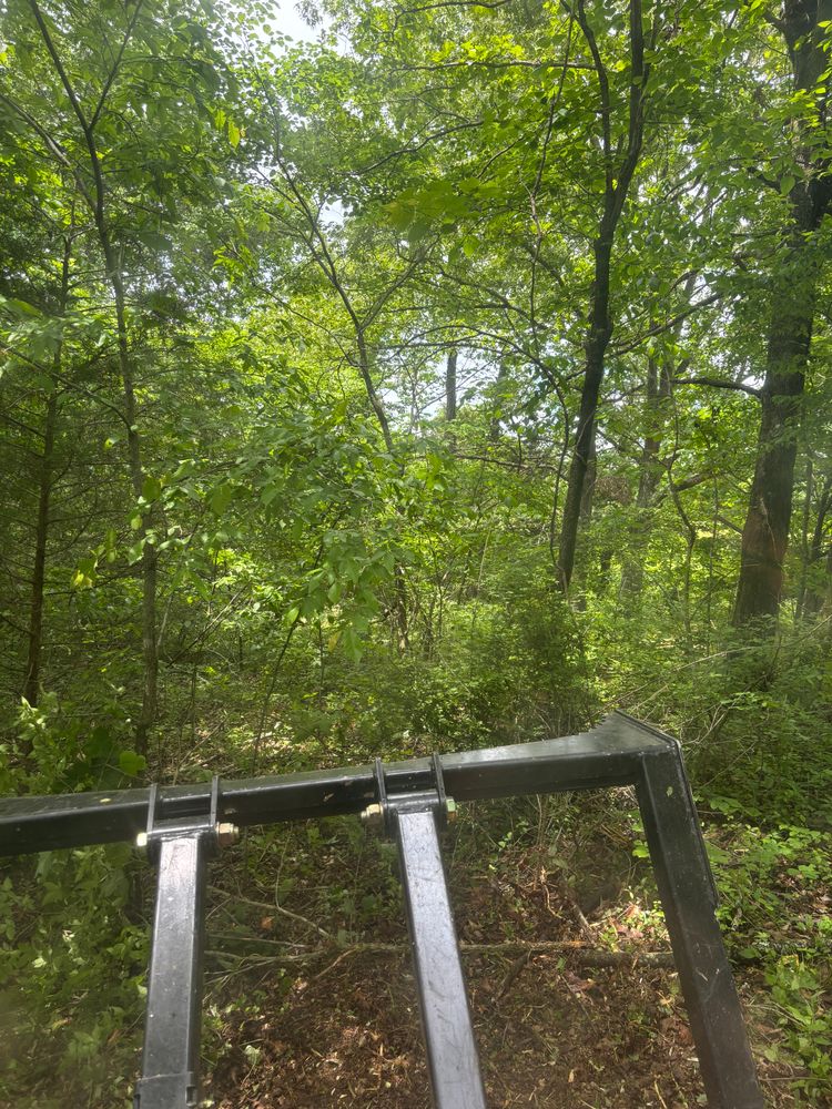 All Photos for Gregory Grass and Lawn in Lafayette, TN