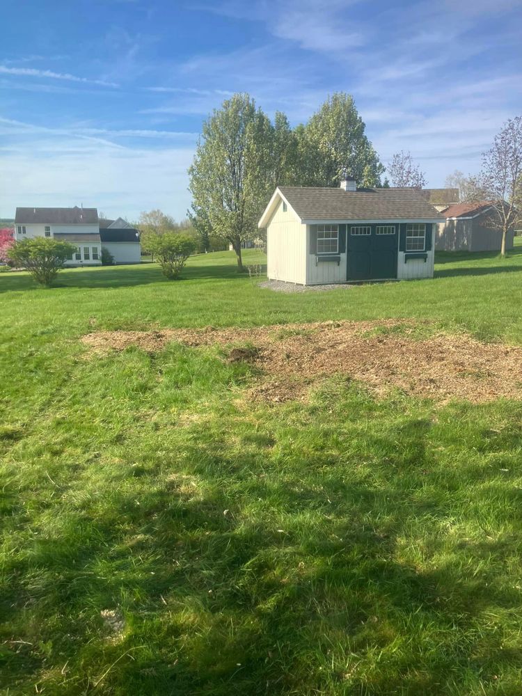 Our site preparation and clearing service removes trees, brush, stumps, and debris efficiently, creating a safe, clean space for landscaping, construction, drainage improvement, or other property enhancement projects. for Lovenguth Logging and Tree Service in West Monroe, NY