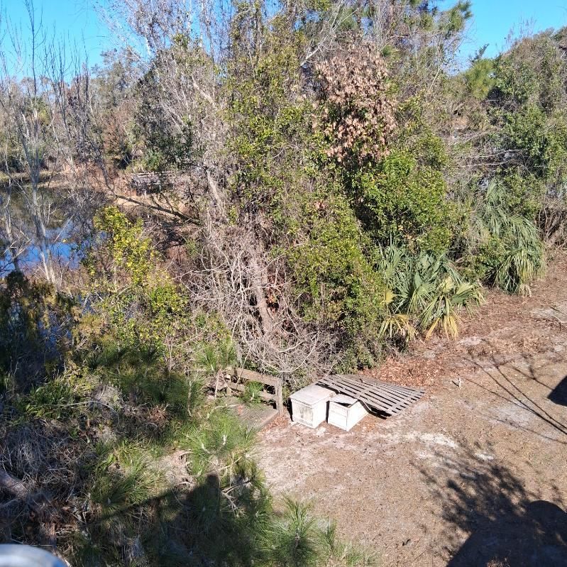 All Photos for Perfect Cut Lawn & Tree Care in Citrus County, FL