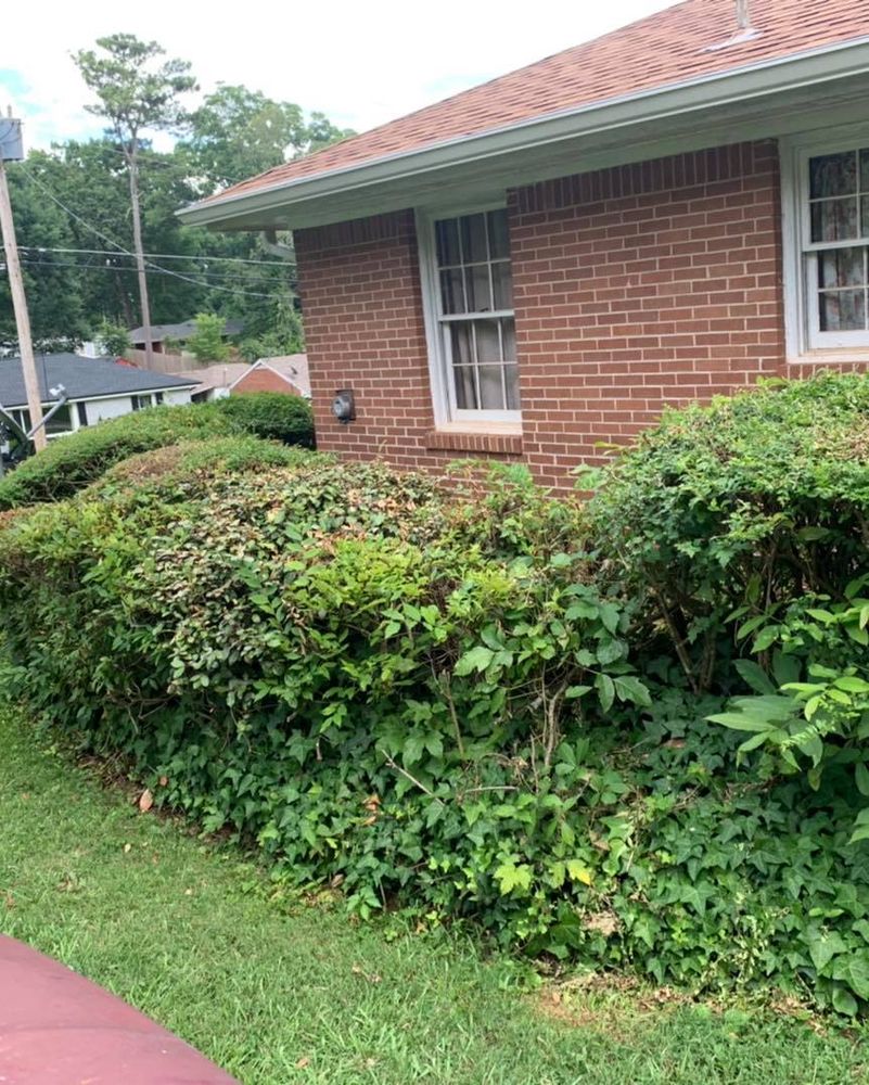 Landscaping for Two Brothers Landscaping in Atlanta, Georgia