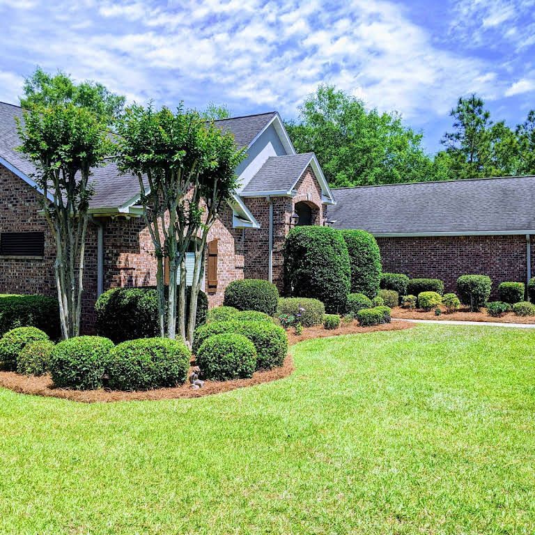 All Photos for Braun Tree Service in Cameron, TX