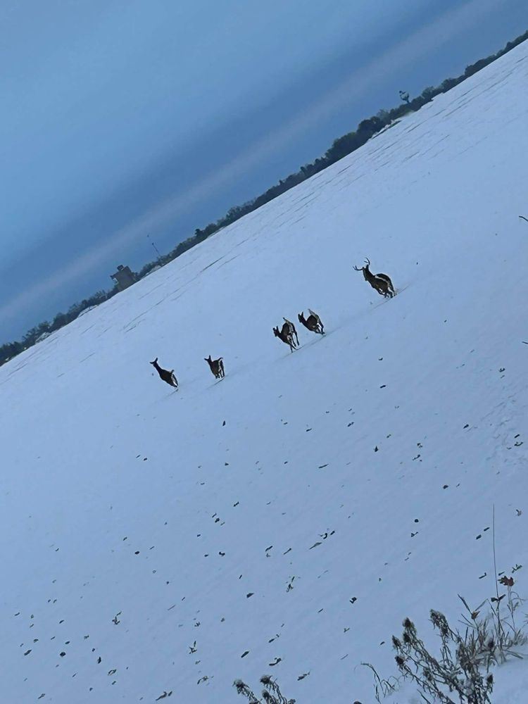 All Photos for LABS Concrete in West Liberty, IA